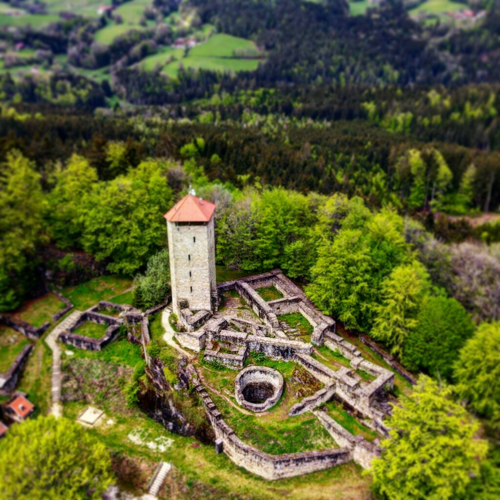 Luftbild Burg Altnussstein