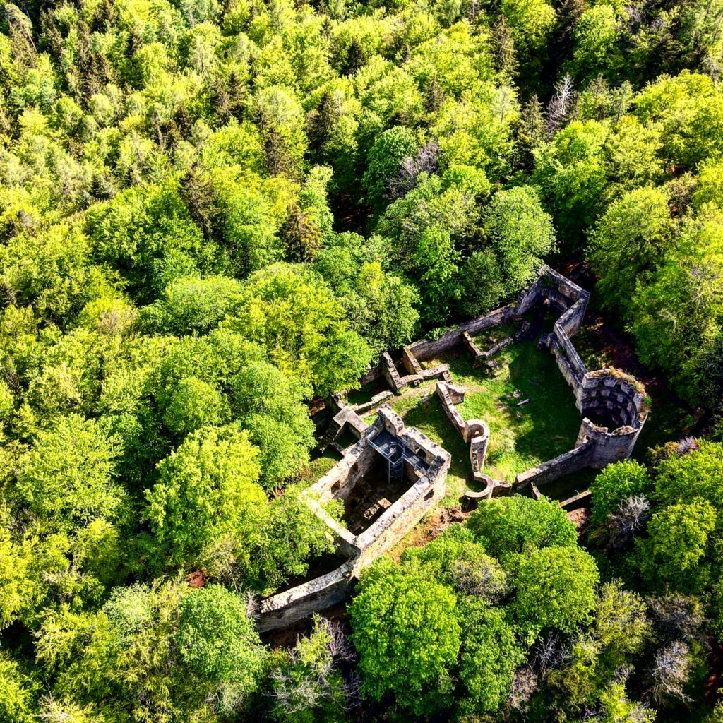 Luftbild Burg