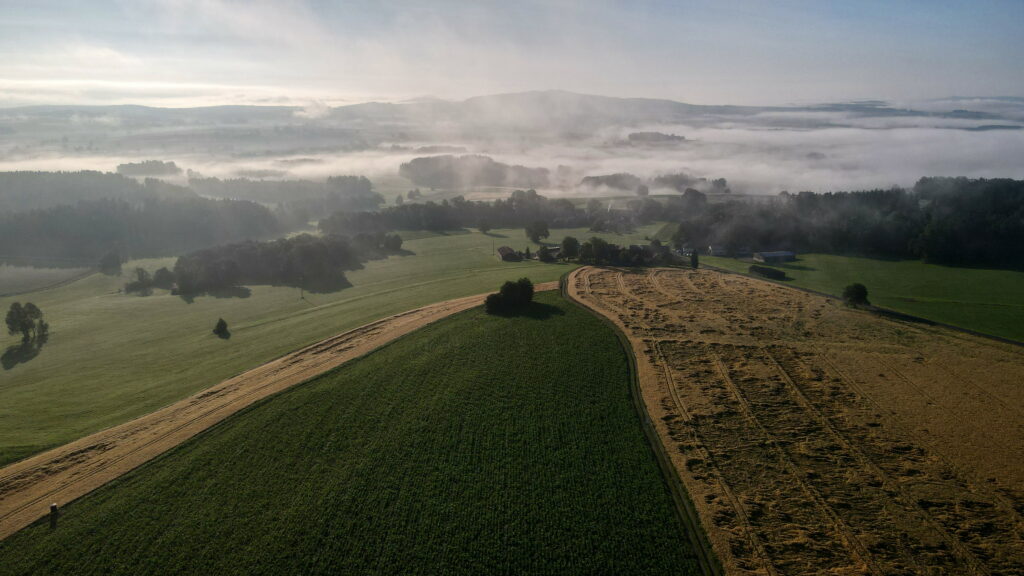 Luftbild Nebel