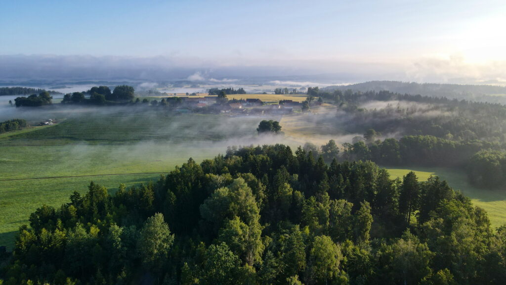 Luftbild Nebel
